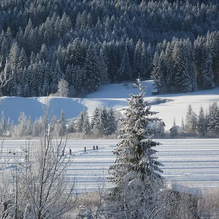 Seehaus Verena 바이센제