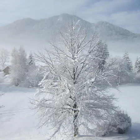 Seehaus Verena 아파트