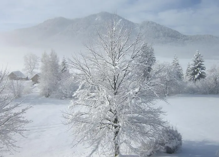 Seehaus Verena Apartamento